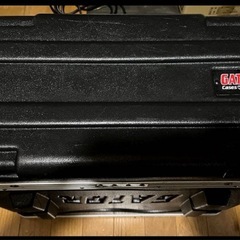 ampeg svt3pro カスタムの画像