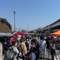 5/31(日)本牧市民プールフリーマーケット