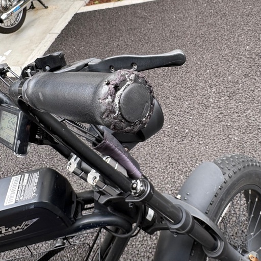 FLOW BIKE電動アシスト自転車 本体 
ブラック