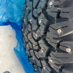 フルピンの画像