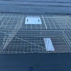 動物捕獲器（踏み板式）の画像