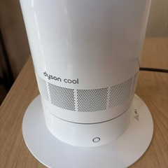 No.246  ダイソンタワーファン　2024年の画像