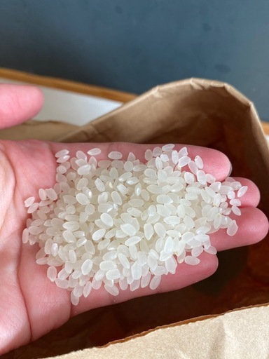 令和6年度福島県産ひとめぼれ30キロ　古米　譲り先決まりました
