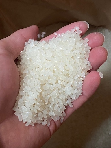 子育て応援　新米岩手県産　ひとめぼれ30キロ　精米済み