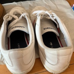 ラコステ スニーカー 26せんちの画像