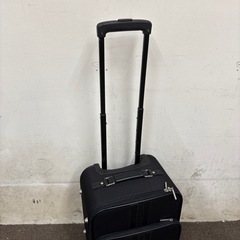 SWANY キャリーバッグの画像