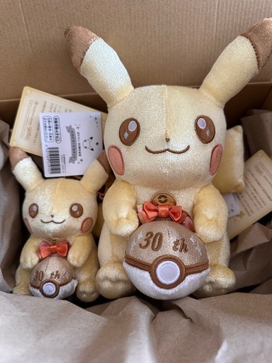 30th ピカチュウ　ぬいぐるみ　2体