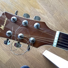 Mavis エレアコギターの画像