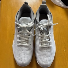 バスケットボールシューズ（ウエーブトランジスタ バッシュ 25cm ミズノの画像