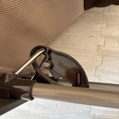 Richellバウンサーの画像