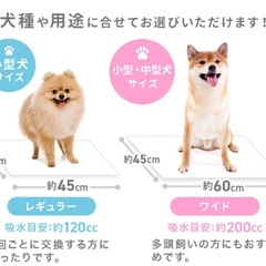 未開封ペットシーツ　薄型レギュラーサイズの画像