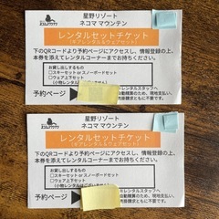 ネコママウンテン　２枚　レンタルセットチケット