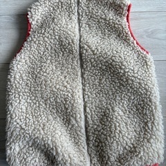 patagonia ベストの画像