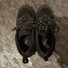 ゴアテックス　ミズノ　シューズの画像