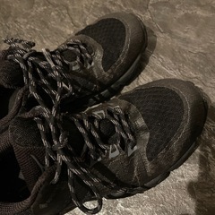 ゴアテックス　ミズノ　シューズの画像