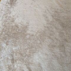 【決まりました】カーペット　ラグの画像