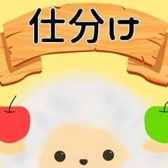 【日勤のみ×土日休み】シンプル×モクモクの仕分け軽作業／未経験OK◎／8:00～17:00で生活リズムも安定◎の画像