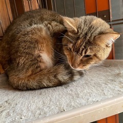 70歳までの方・単身者ご相談下さい。