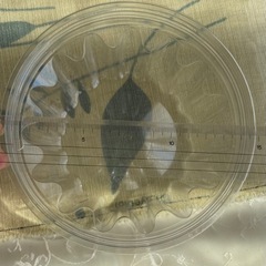 キャットミントの画像