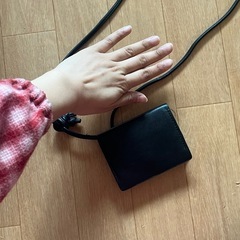 ミニカード斜め掛けバッグの画像