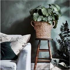 IKEA  トルンベールの画像