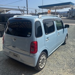 まだまだ人気のココアプラス！！の画像