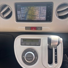 まだまだ人気のココアプラス！！の画像