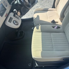 まだまだ人気のココアプラス！！の画像