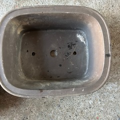 楕円形と四角形の盆栽鉢の画像