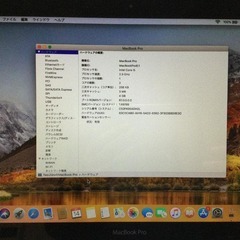 【改造ベースに最適】Apple MacBook Pro【Early 2011】の画像