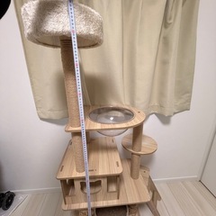 キャットタワーの画像