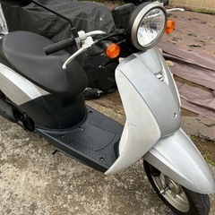 ホンダ トゥディ（TODAY）4stスクーター車体50㏄＠神奈川県川崎市/東京都〜の画像