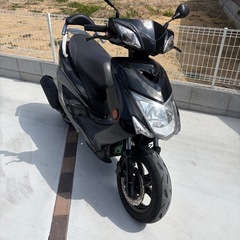 シグナス三型の画像