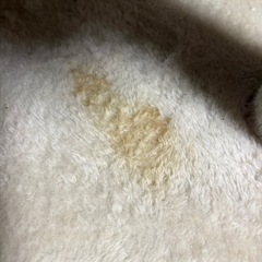 キャットタワーの画像