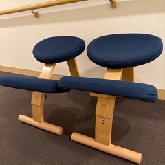 バランスイージー2脚セット(カバー付き)の画像