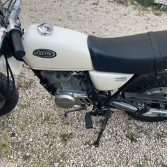 エイプ100の画像