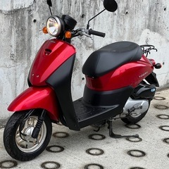 大人気セール‼️驚愕の低走行8100キロ🏃‍♀️安心のバッテリー充電済み🔋前後タイヤまだまだ山あり🗻嬉しいオイル交換済み🔋燃費重視＆バイク初心者の方にオススメ🔰ラクラク始動のインジェクション💥AF67 トゥデイ✴の画像