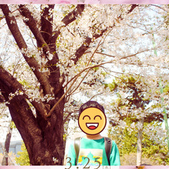 【2026年 桜フォト】新1年生集まれ！桜とランドセルの出張撮影...