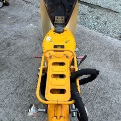 リトルカブ　　　の画像