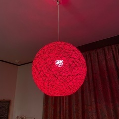 照明　ライト　ALEXA対応　Wi-Fi機能の画像