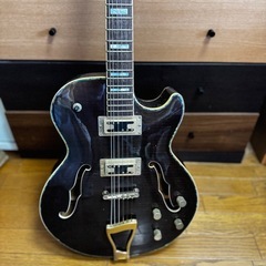 Yamamoto ギター Ibanezの画像