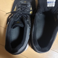 ミズノのランニングシューズ
27cm(黒／ゴールド)の画像