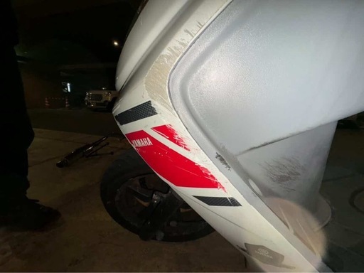 シグナス2型