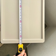 《3/20迄》キャリーワゴンの画像