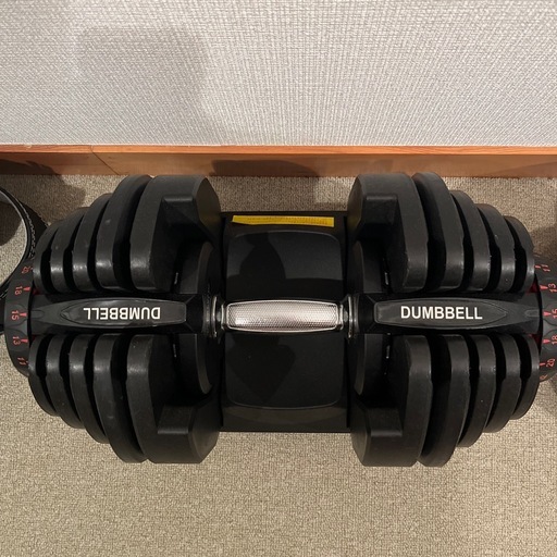 可変式ダンベル2個、ベンチ台、懸垂台