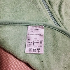 スリーパー  恐竜の画像