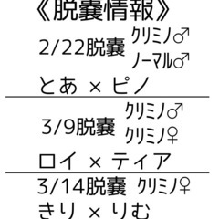 フクロモモンガ 脱囊情報