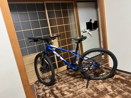 自転車 GT