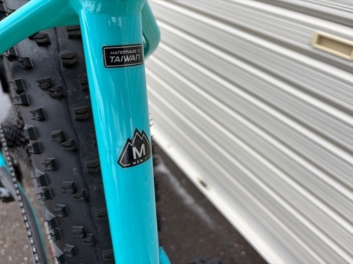 2019 Specialized・FAT BOY➕α