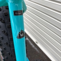 2019 Specialized・FAT BOY➕αの画像